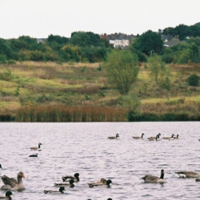 Bateswood Park