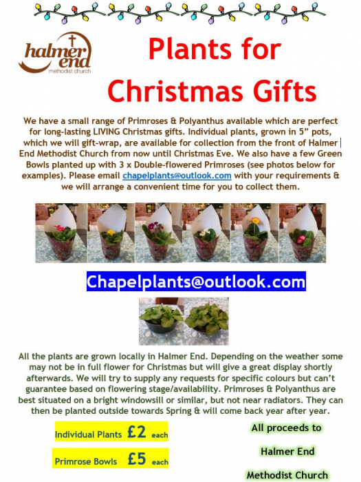 Christmas Plants Flyer_201208