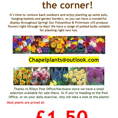 Feb Flyer Chapel Website_210224