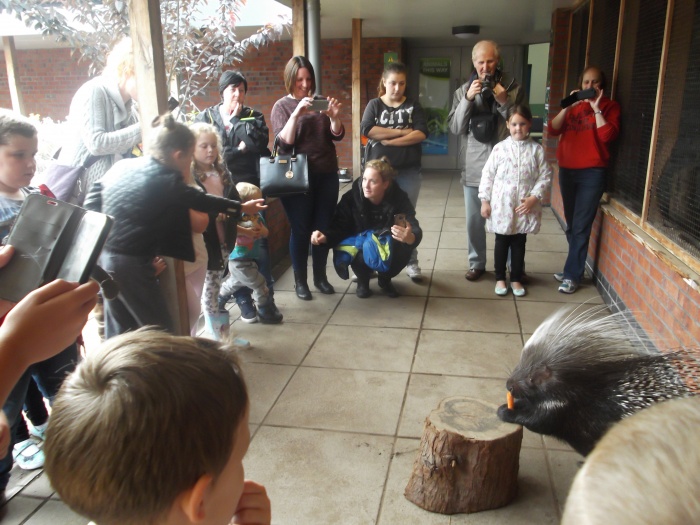 Mon club visit to Reaseheath, porcupine