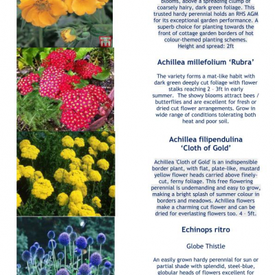 Plant Details 2020 Part 2 05-20_200511_page_001