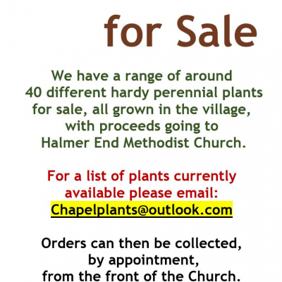 Plants for Sale v3