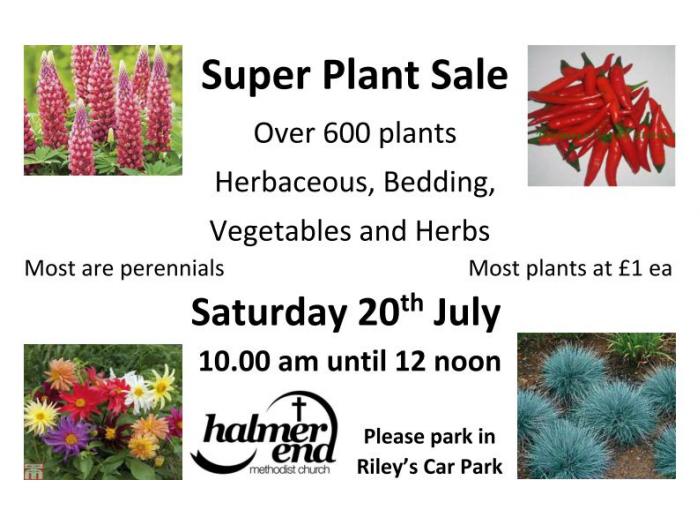 Super Plant Sale_20th July 2019_B_190709-docx_page_001_page_001