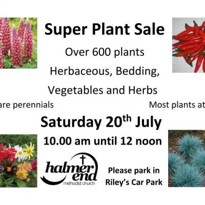 Super Plant Sale_20th July 2019_B_190709-docx_page_001_page_001